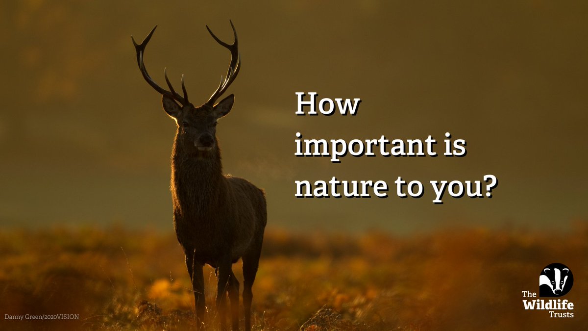 The Wildlife Trusts tweet media
