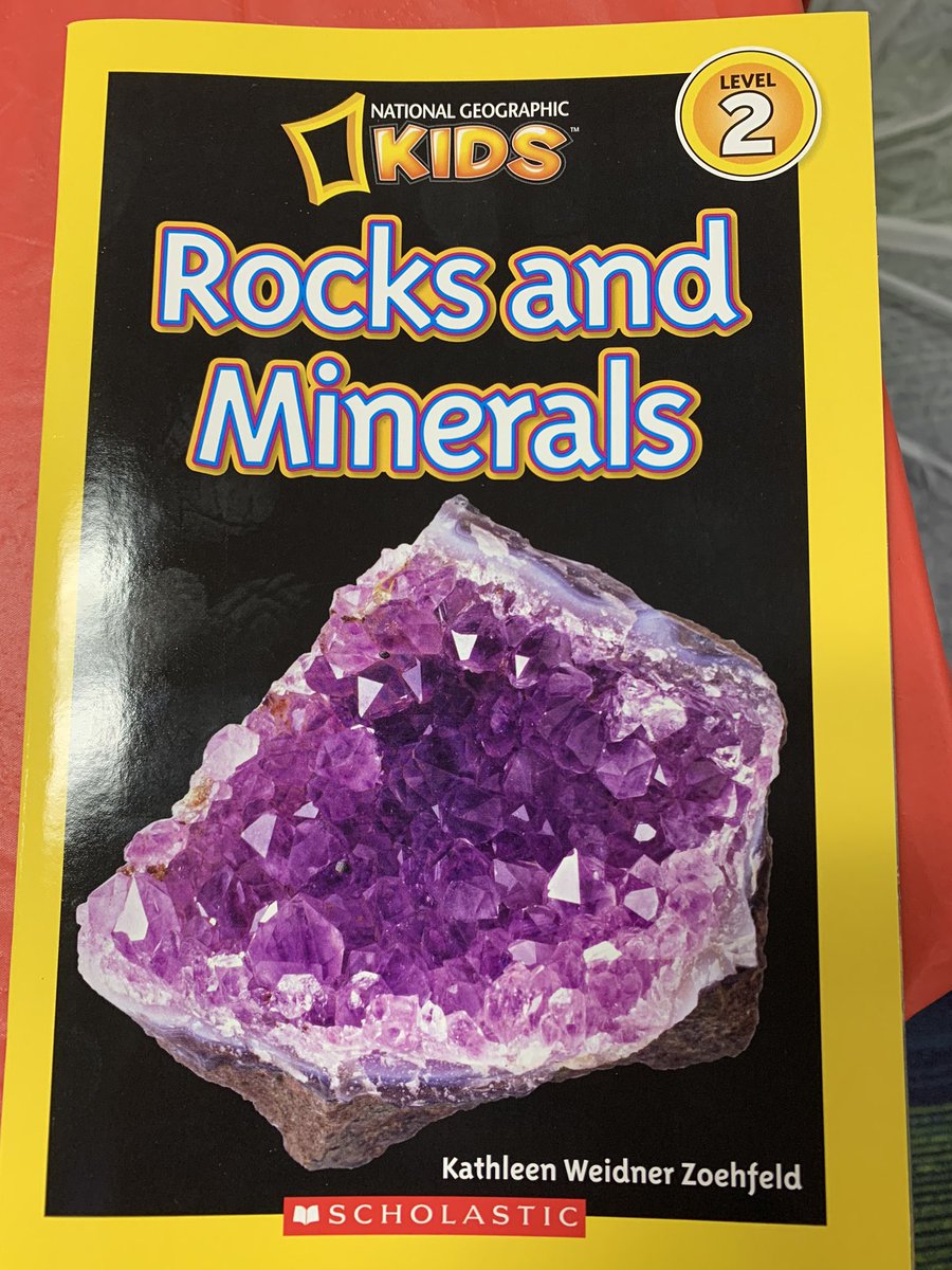 So many kids having fun painting rocks while learning about rock and minerals in the TBIC! Book.