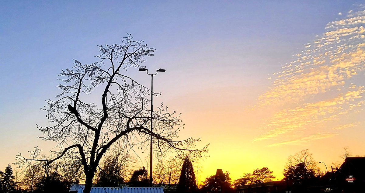 howyougo's tweet photo. Fri-Yay afternoon and sunset!
#Friday #goodafternoon #sunset #bcstorm #lastfridayofapril #blueskies #streetsofvancouver #ohsopretty #moon #Stormhour #Westcoast #magnoliatree #Vancouver #spring #crow #ShareYourWeather https://t.co/7to3j3MSgD