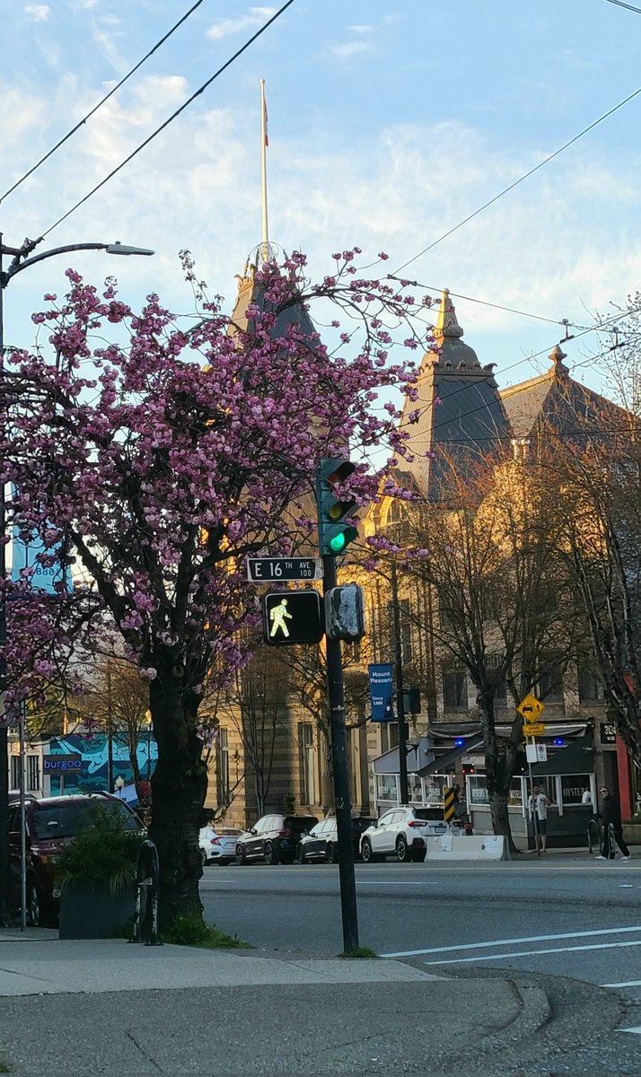 howyougo's tweet photo. Fri-Yay afternoon and sunset!
#Friday #goodafternoon #sunset #bcstorm #lastfridayofapril #blueskies #streetsofvancouver #ohsopretty #moon #Stormhour #Westcoast #magnoliatree #Vancouver #spring #crow #ShareYourWeather https://t.co/7to3j3MSgD