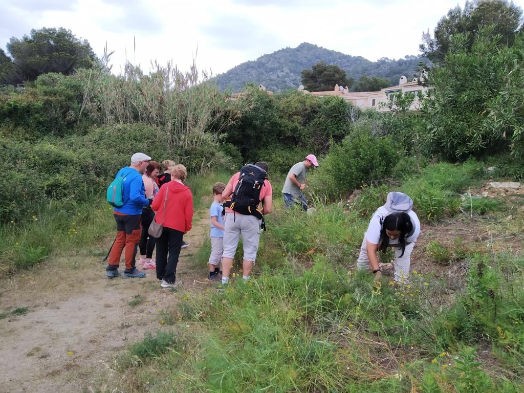 Coneixent el món dels insectes al torrent de Canyamel avui matí de la mà d'en <a href="/pinya_samuel/">Samuel Pinya</a>. Seguiu atents a les pròximes activitats de la càtedra de medi ambient i Turisme de <a href="/ajcapdepera/">ajcapdepera</a> i <a href="/UIBuniversitat/">Universitat de les Illes Balears - UIB</a>.