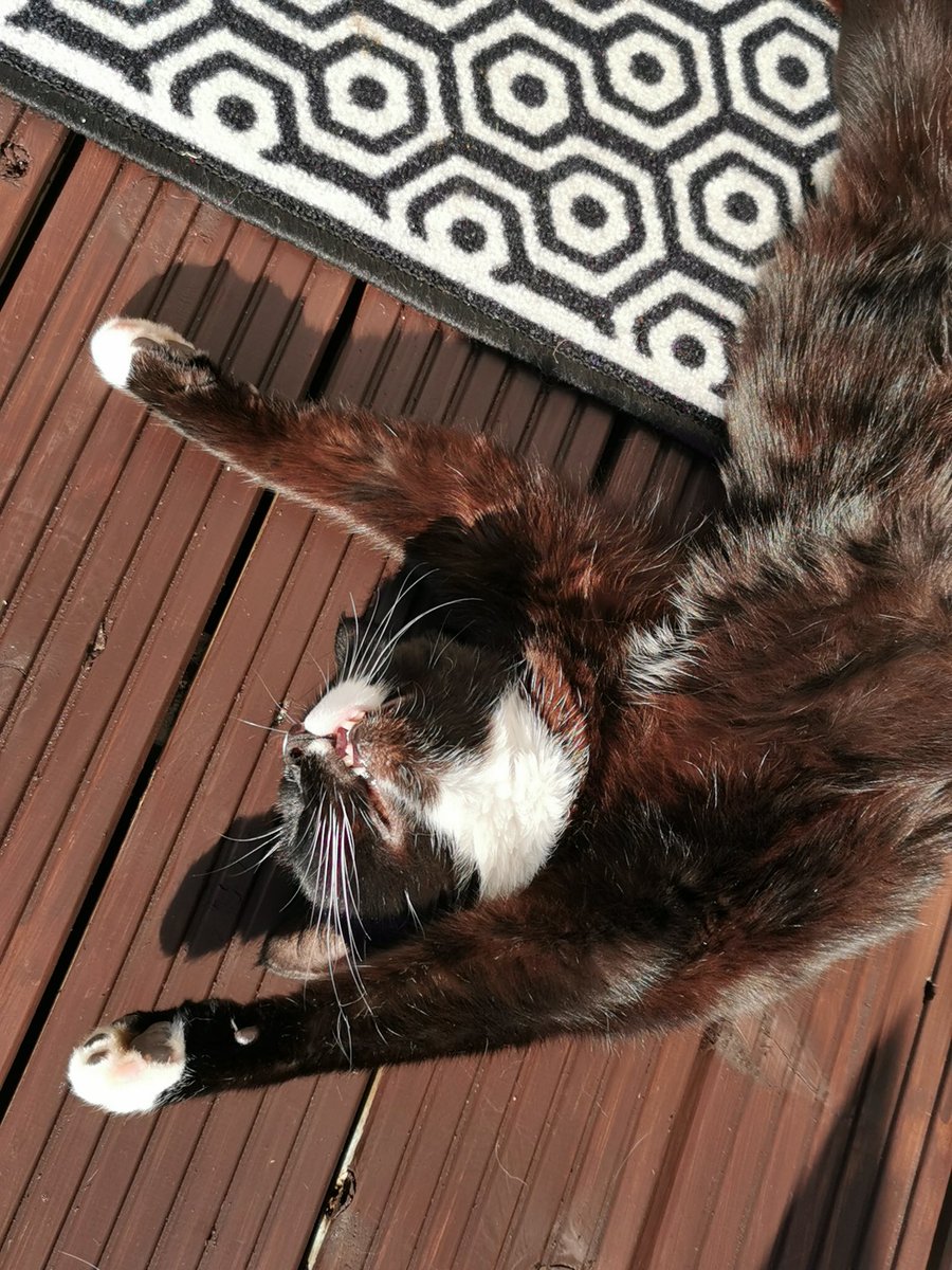 Barry enjoying his bank holiday weekend 💕