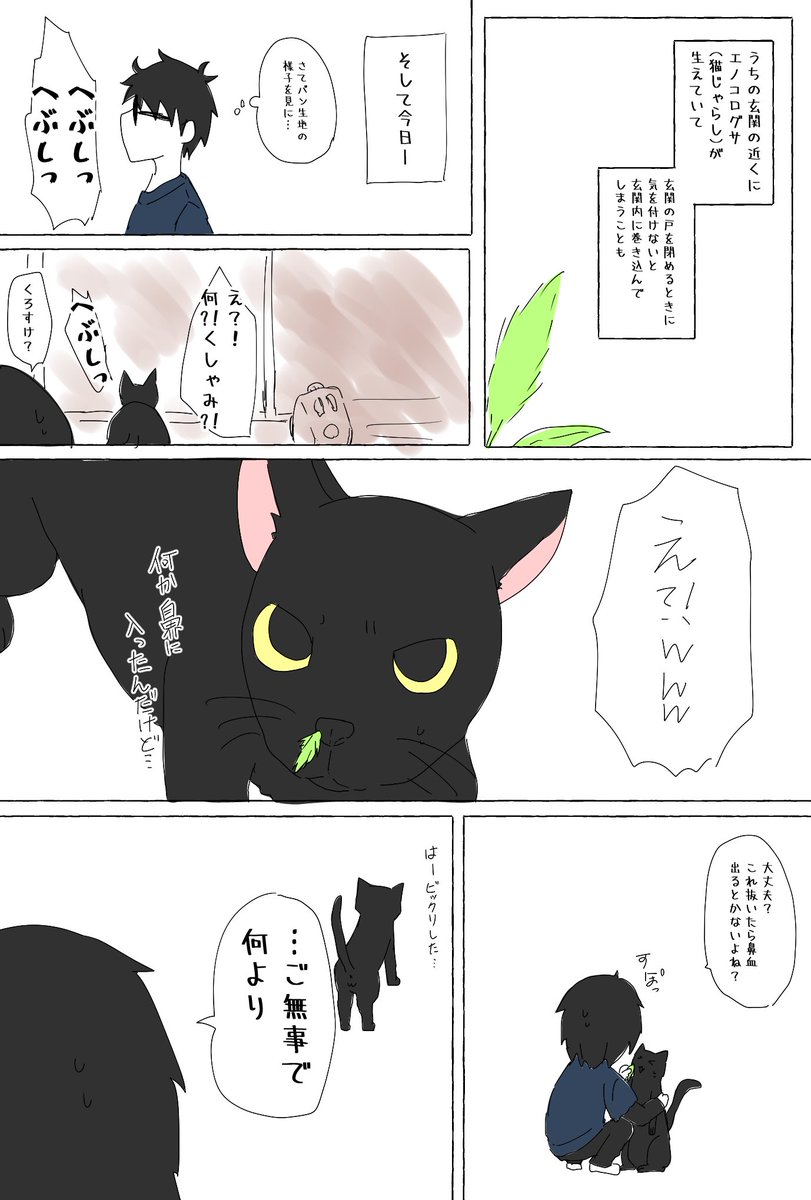 いや、そうはならんやろ