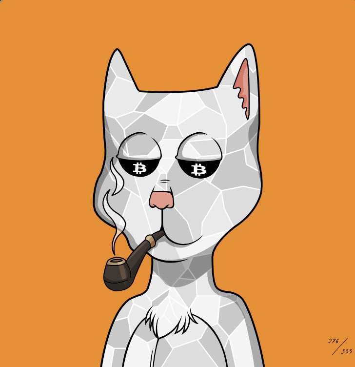 Catnip 🔨 Boss Cat Rocket Club tweet media