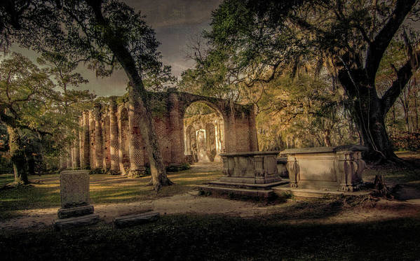 RT @nbrandsberg: OLD DHELDON CHURCH CHARLESTON:
fineartamerica.com/featured/old-s… 

#architecture #charleston  #oldbuildings #historicbuildings #AYearForArt #artforsale #Travel #art4mom #travelphotography #giftideas #nature #BuyIntoArt #springforart #art #elegant…