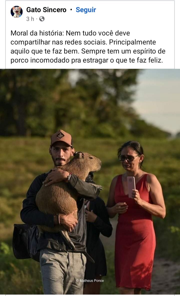 DanSerr80's tweet photo. Obrigado @luisamell como toda boa lacradora a sua "justiça socio-ambiental" foi feita. #FiloTemdeVoltar https://t.co/l9c58rivoX