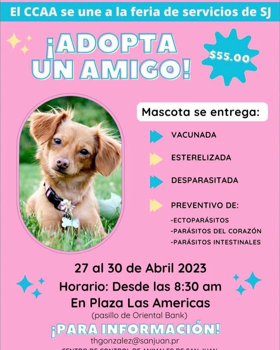 #AdoptarSalvaVidas #adopta #plazalasamericas #AdoptaYSalvaUnaVida