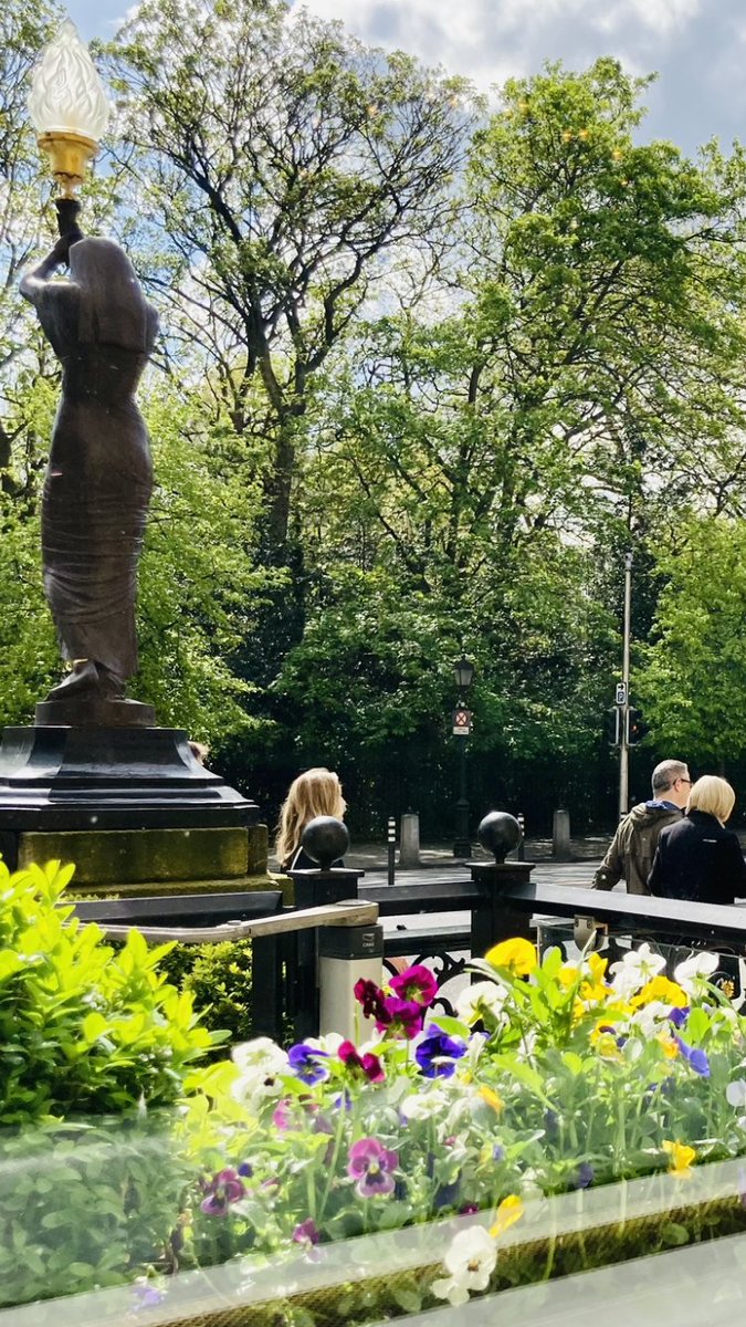 Pretty spring window box. #Dublin <a href="/theshelbourne/">The Shelbourne</a>