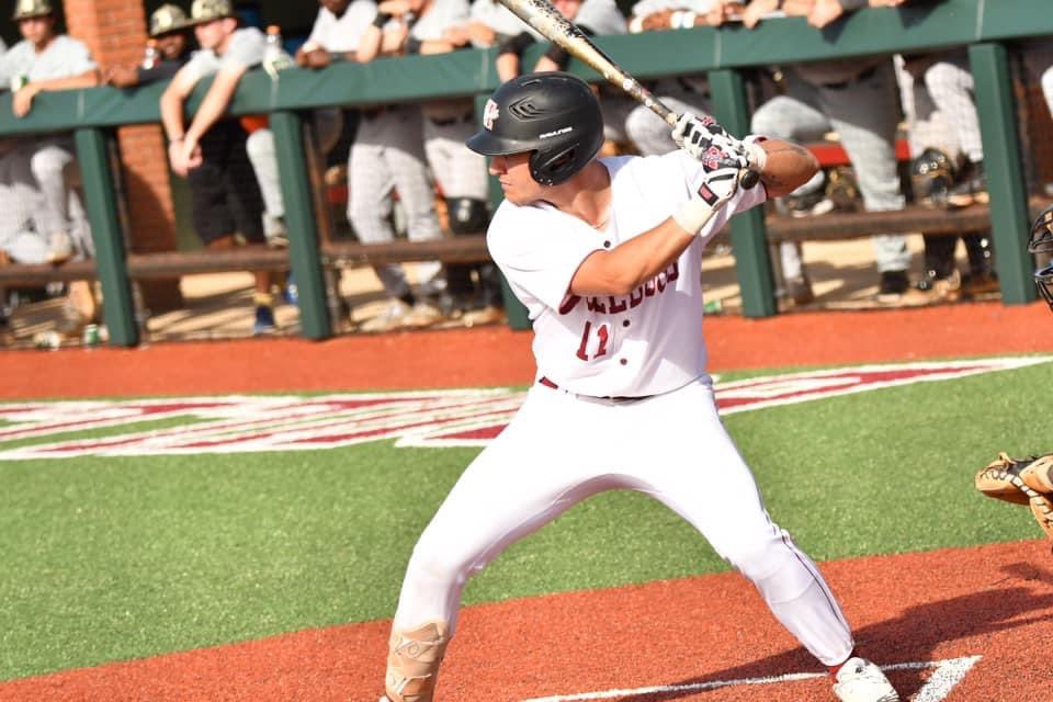 Pete Young Baseball tweet media