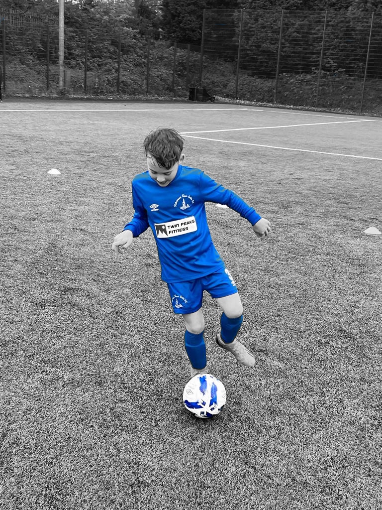 carrie_stimp's tweet photo. C'mon @halesowentownfc you got this 🍀👊🏼 https://t.co/GgFKzv9IB3