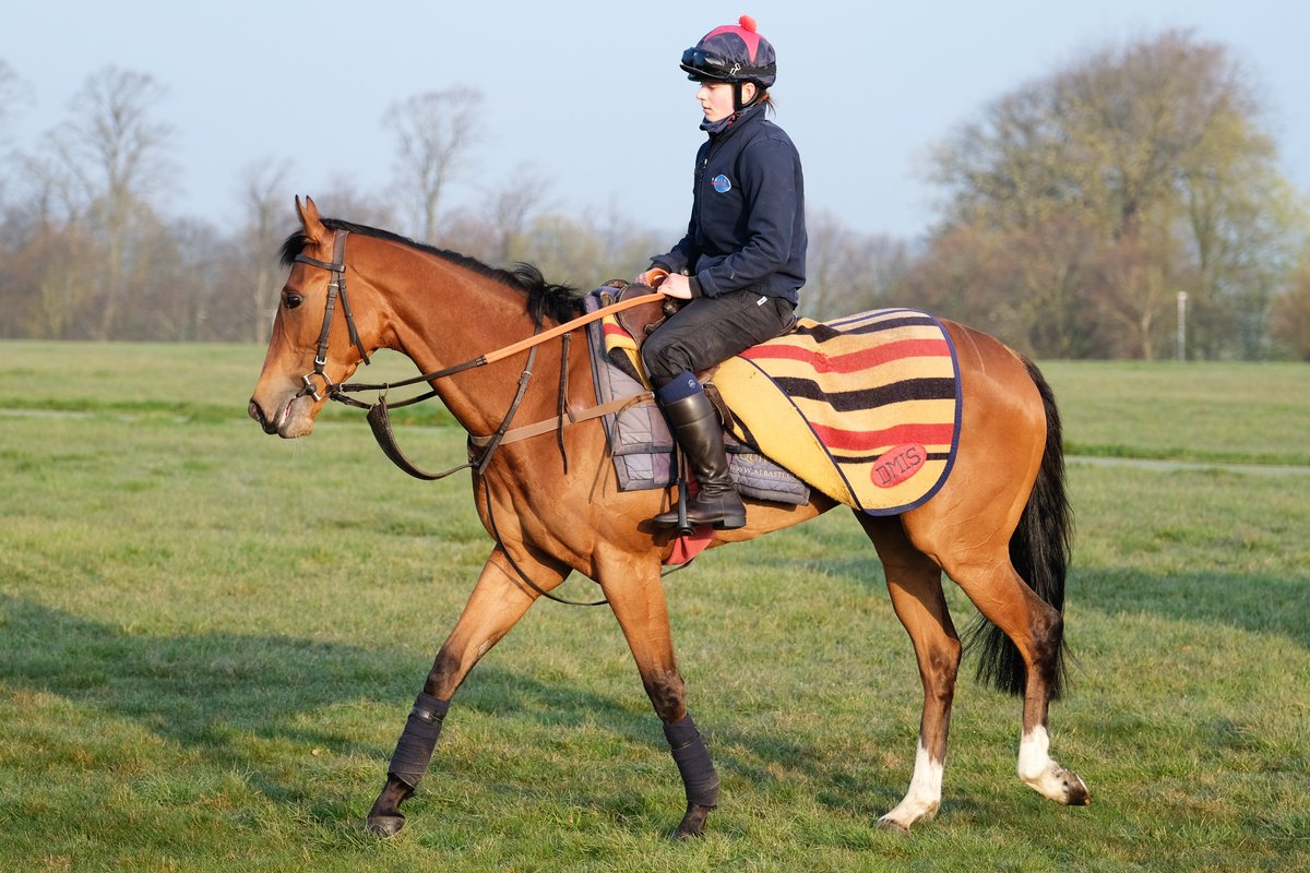 SimcockRacing's tweet photo. LUNAR BIRD 🌟WINS🌟 (3yo f Cracksman GB - Singyoursong IRE) the 1m2f Novice Stakes @RiponRaces under Joe Fanning for MOHAMMED JABER & @SimcockRacing #AlBasti #AlBastiEquiworldDubai https://t.co/Ror3DgAcnj