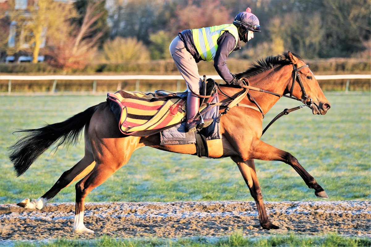 SimcockRacing's tweet photo. LUNAR BIRD 🌟WINS🌟 (3yo f Cracksman GB - Singyoursong IRE) the 1m2f Novice Stakes @RiponRaces under Joe Fanning for MOHAMMED JABER & @SimcockRacing #AlBasti #AlBastiEquiworldDubai https://t.co/Ror3DgAcnj