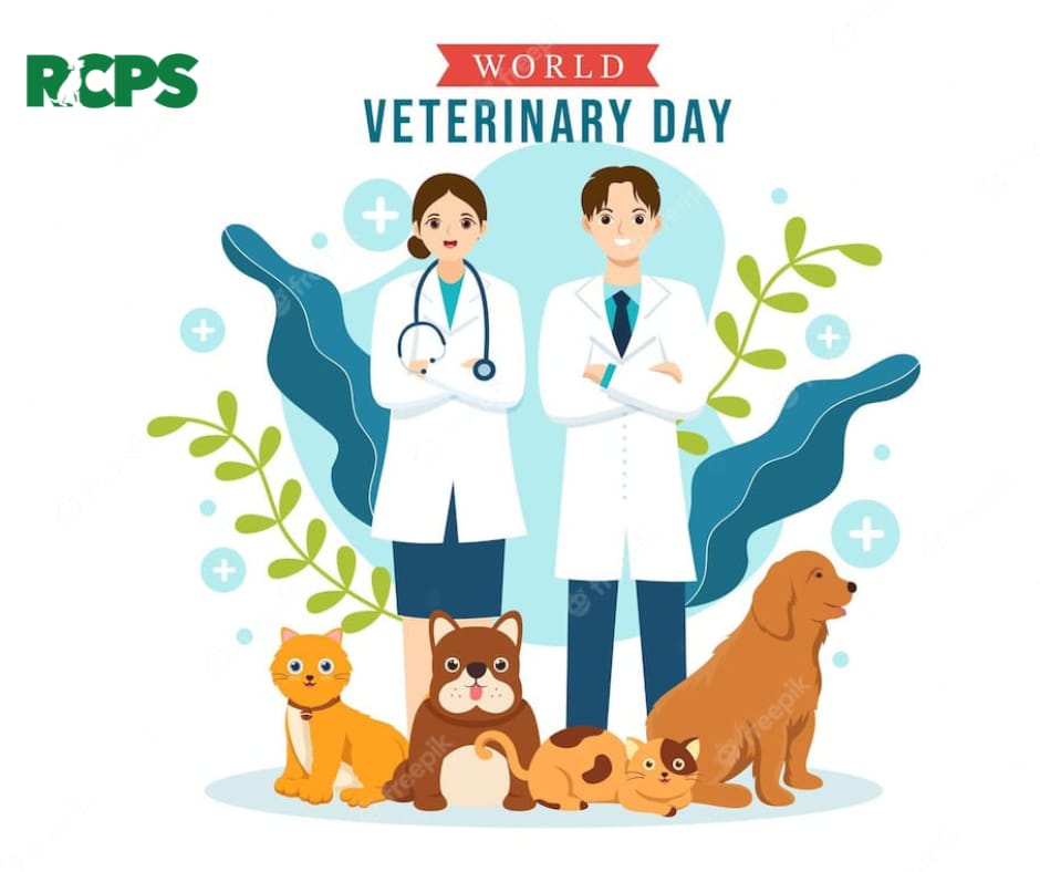 RCPSindh's tweet photo. 🌟Happy #worldveterinaryday2023 🐾

#RabiesControlProgramSindh is proud to contribute in this profession.
✨ Lets recognize the vital role of veterinarians in promoting diversity and inclusiveness. #WorldVeterinaryDay #veterinarymedicine  #VeterinariansEssentialForAnimalHealth https://t.co/xxKEKl6OGt
