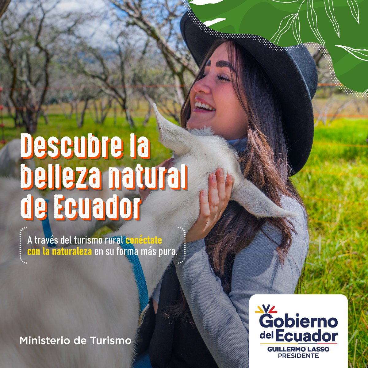 Viceministerio de Turismo Ecuador 🇪🇨 tweet media