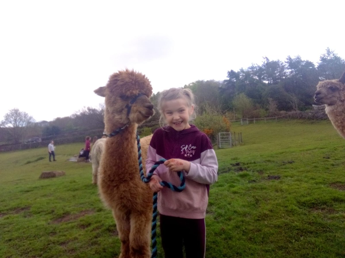 Sarah40530925's tweet photo. That face says it all ....walking alpacas. https://t.co/kVpqGMVREe