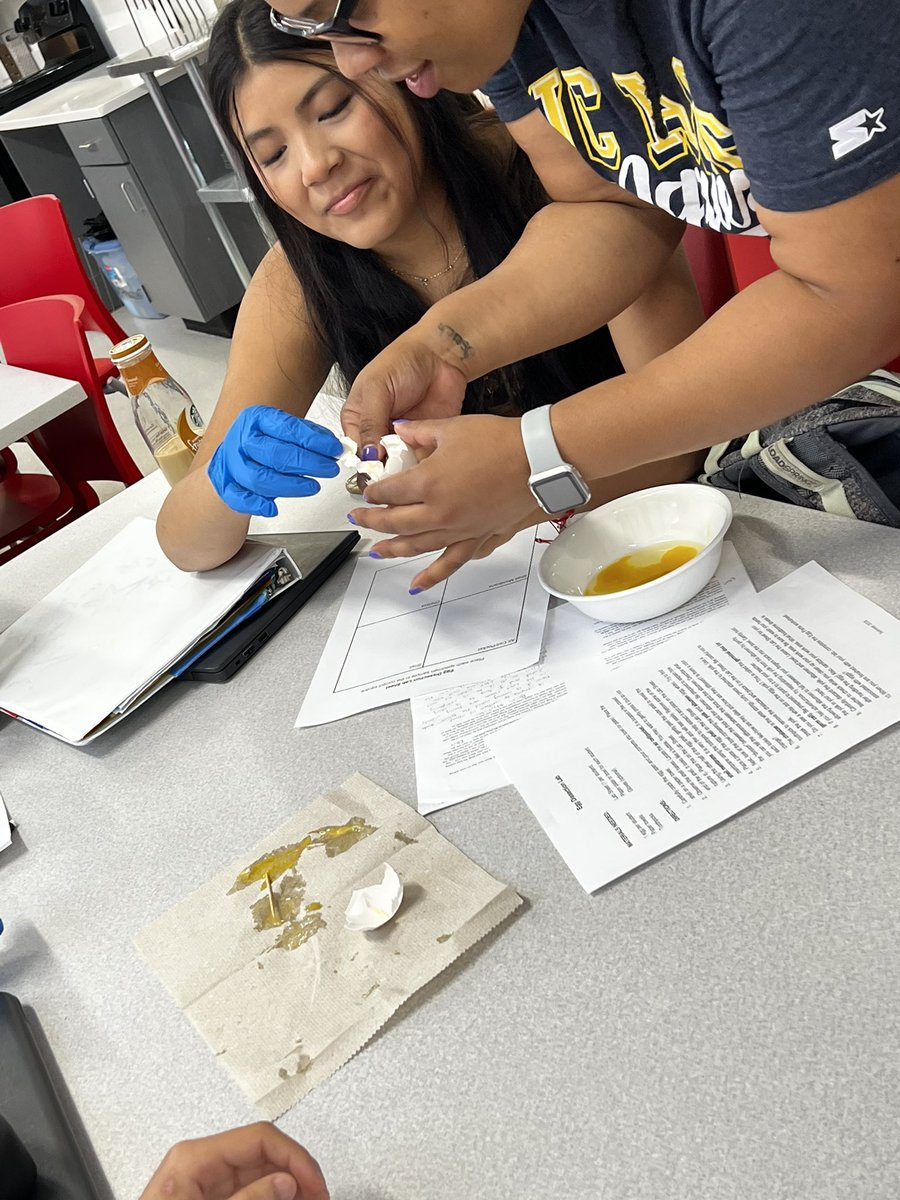 MrsPrinz_AP's tweet photo. Busy week @GrahamRedDevils Loved watching Ms. Alston’s Foods class and their Egg Dissection Lab https://t.co/xK9JdhOkzg