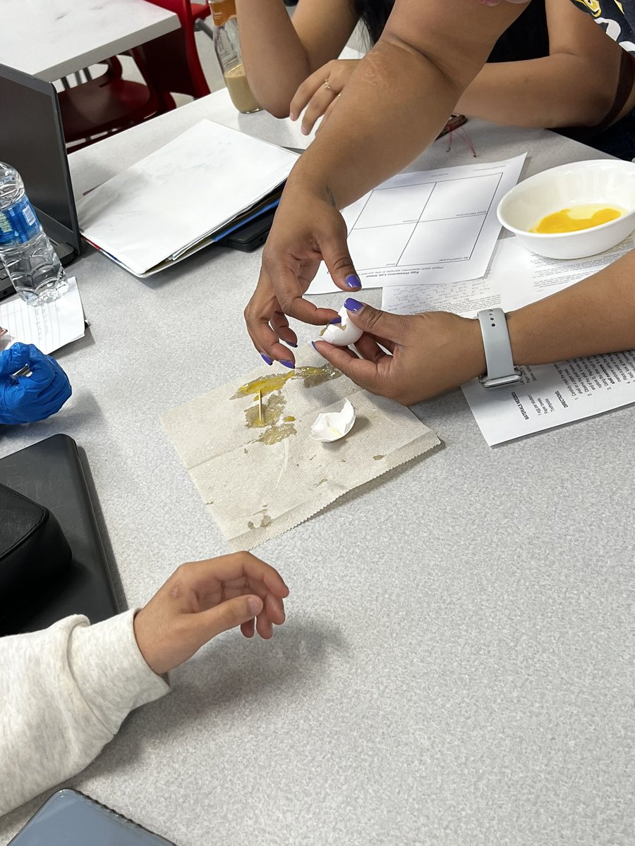 MrsPrinz_AP's tweet photo. Busy week @GrahamRedDevils Loved watching Ms. Alston’s Foods class and their Egg Dissection Lab https://t.co/xK9JdhOkzg