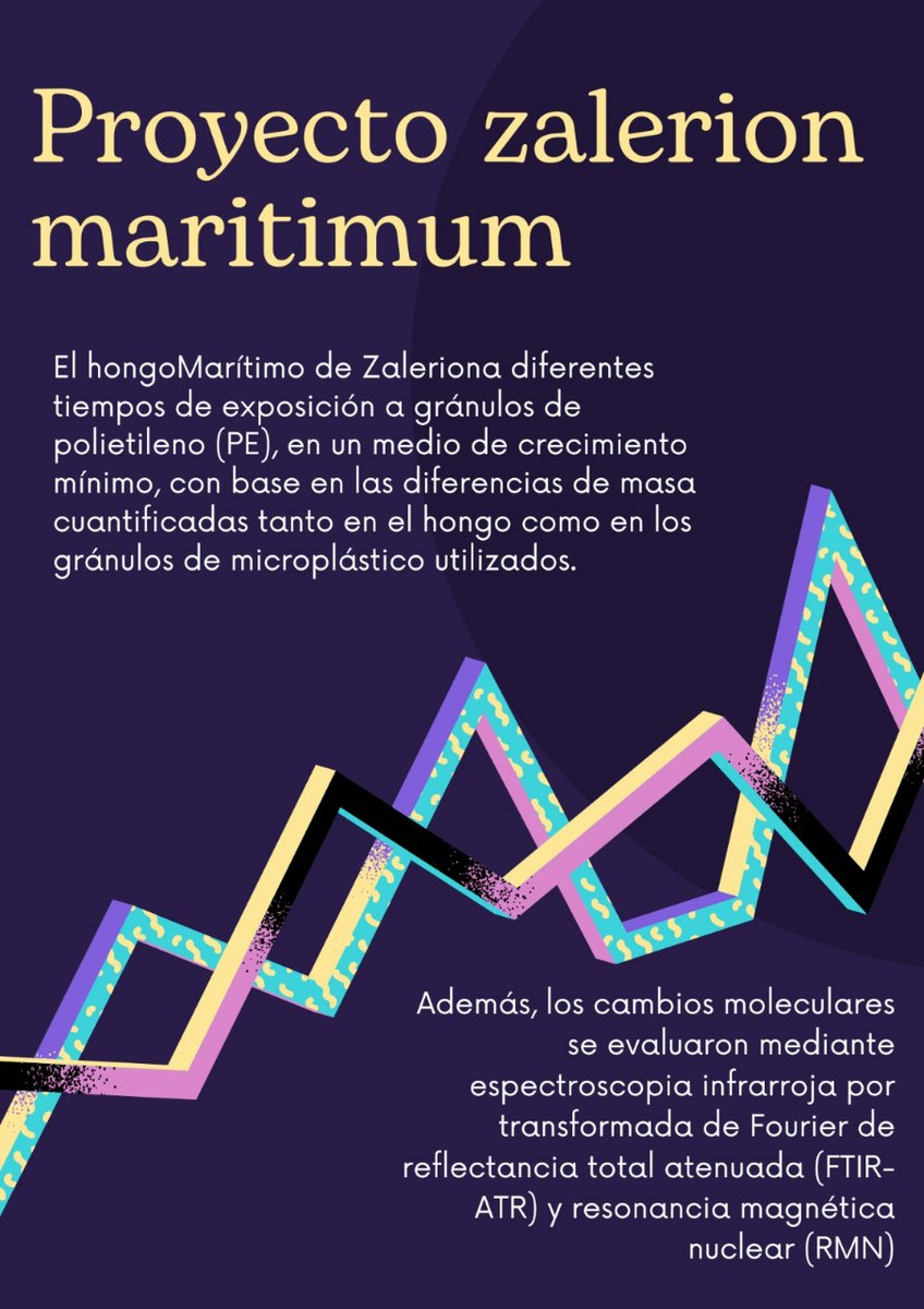 detenpezplastic's tweet photo. @Educaixa   #detenelpezdeplastico #educaixa #thechallengebyeducaixa #zalerionmaritimum Un poquito más de nuestro proyecto 😁🤙, con muchas ganas de llegar a Barcelona y aprender todo lo que podamos https://t.co/2ncxdGivNc