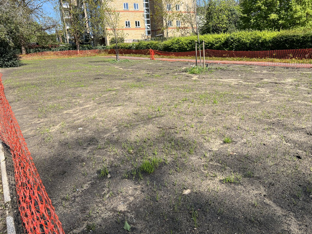 The green shoots of recovery showing through outside the entrance to Fishponds on Ewell Road.