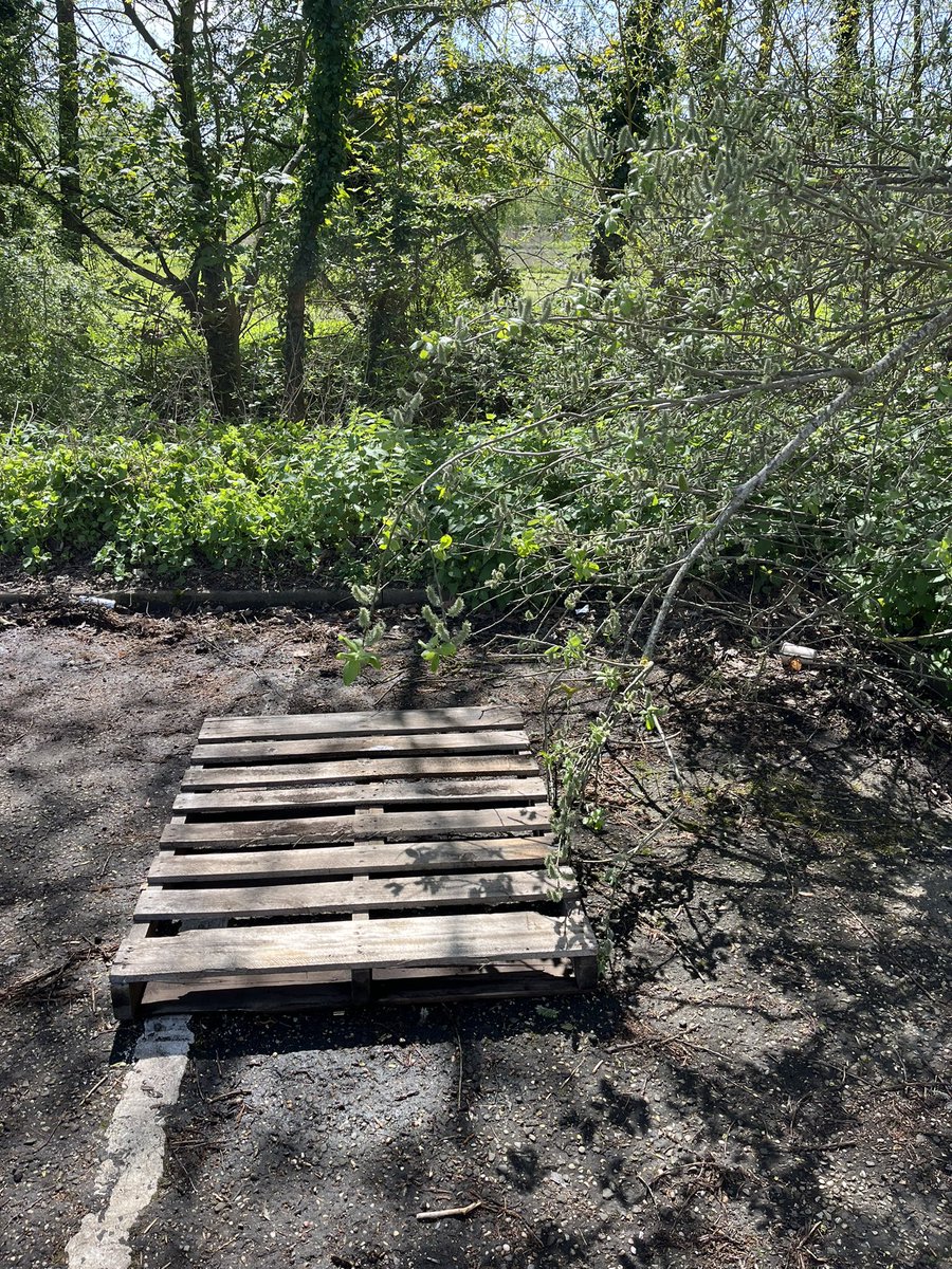 All now gone! Free compost giveaway, thanks to everyone that attended today. Great partnership working with the fantastic waste services team @BaberghDistrict