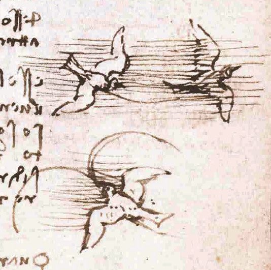 JamesLucasIT's tweet image. Secondo quanto racconta Giorgio Vasari, Leonardo da Vinci studiava e disegnava gli animali, ma nutriva anche un profondo amore e rispetto nei loro confronti. Uno degli aneddoti più noti riportati dal Vasari descrive la sua abitudine di acquistare gli uccelli esposti nelle gabbie…