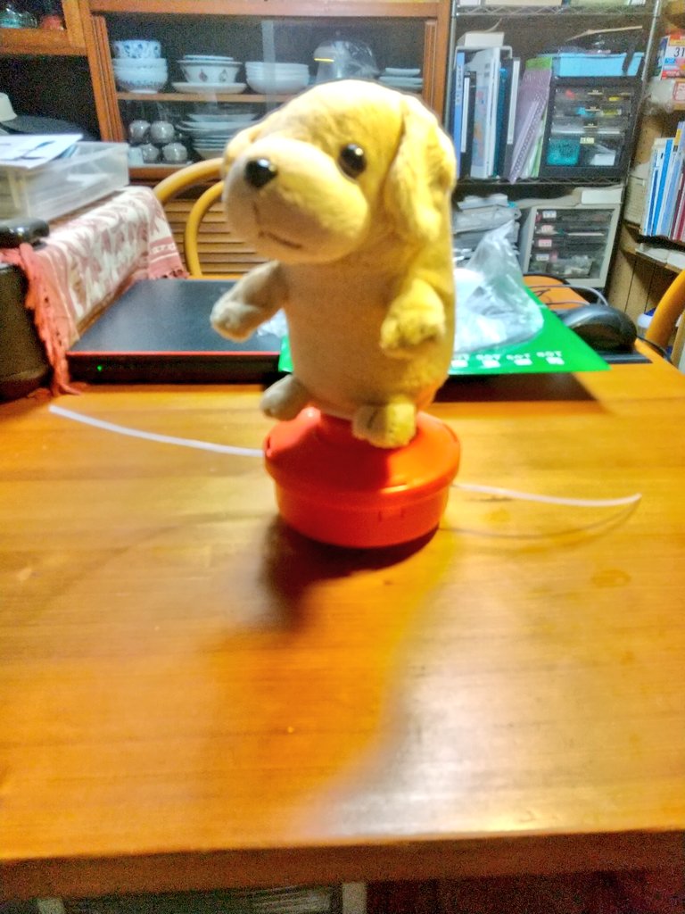 youbuntaro33's tweet photo. バランスを取るのが難しいワン
遊ぶものではありません https://t.co/wIvmDXSwjI