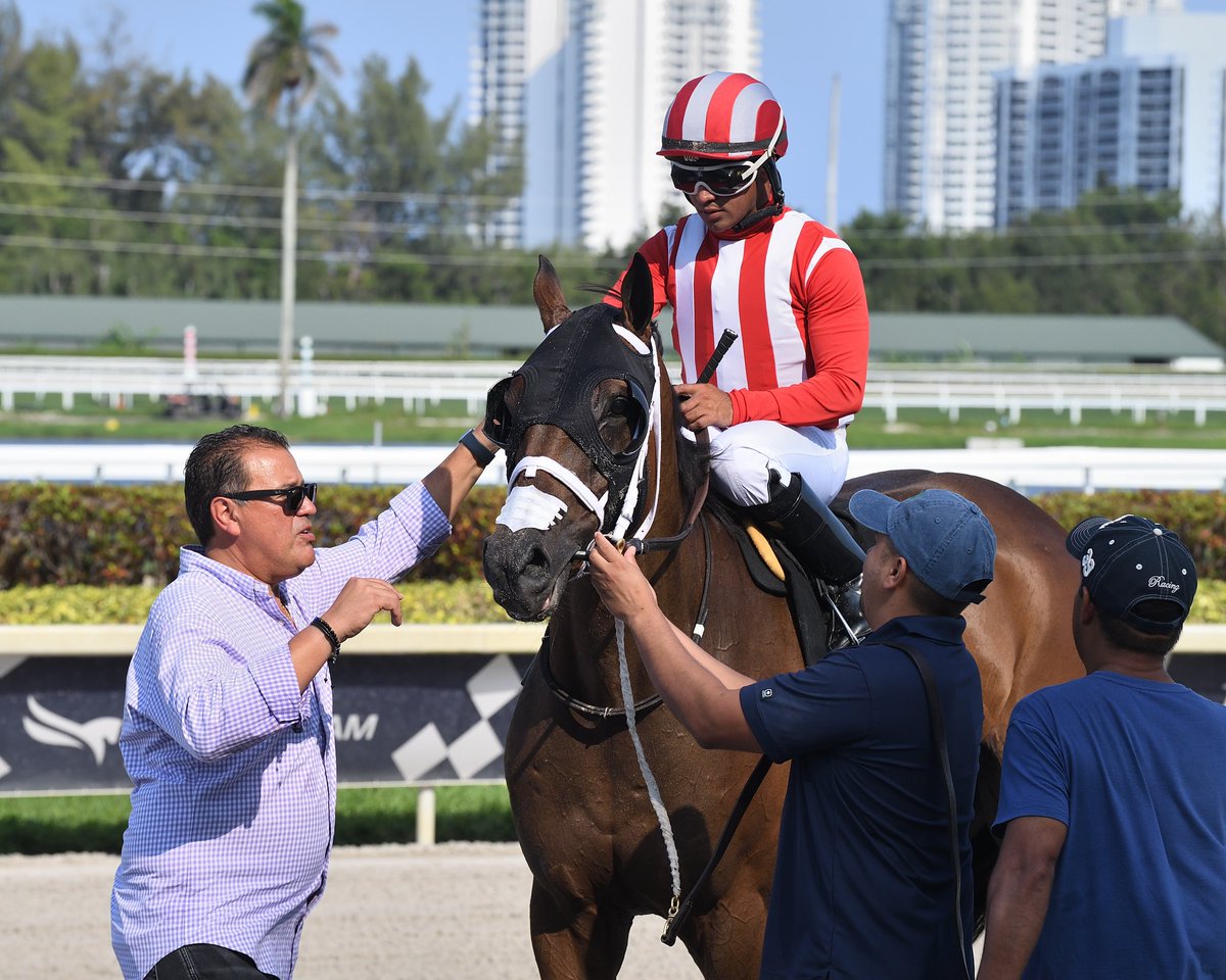 JFDAngelo's tweet photo. #29Apr Katz That Gal
Jockey: Miguel Ángel Vásquez
Trainer: José Francisco D’Angelo
Owner: Bruno Schickedanz
Maiden Claiming $12,500 • Tapeta
8️⃣th victory for José Francisco D’Angelo #RoyalPalmMeet Friday, April 28, 2023 #GulfstreamPark
📸 @coglianesephoto https://t.co/sNhRAYhPC8