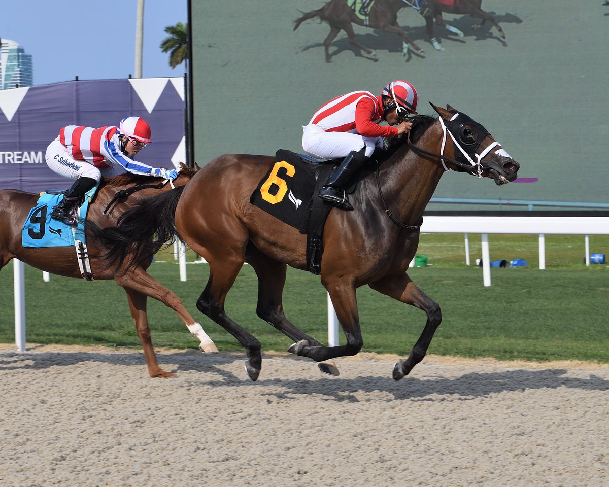 JFDAngelo's tweet photo. #29Apr Katz That Gal
Jockey: Miguel Ángel Vásquez
Trainer: José Francisco D’Angelo
Owner: Bruno Schickedanz
Maiden Claiming $12,500 • Tapeta
8️⃣th victory for José Francisco D’Angelo #RoyalPalmMeet Friday, April 28, 2023 #GulfstreamPark
📸 @coglianesephoto https://t.co/sNhRAYhPC8