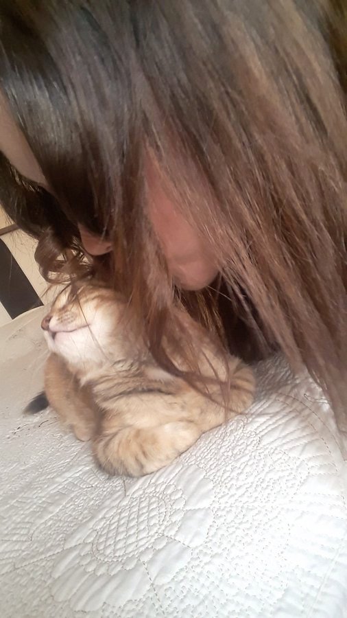 Varan1:ben özlemedim ki seni, kedi özledi
Varan2:hic öpmeyeyim canim yilans sevmiorum 😹