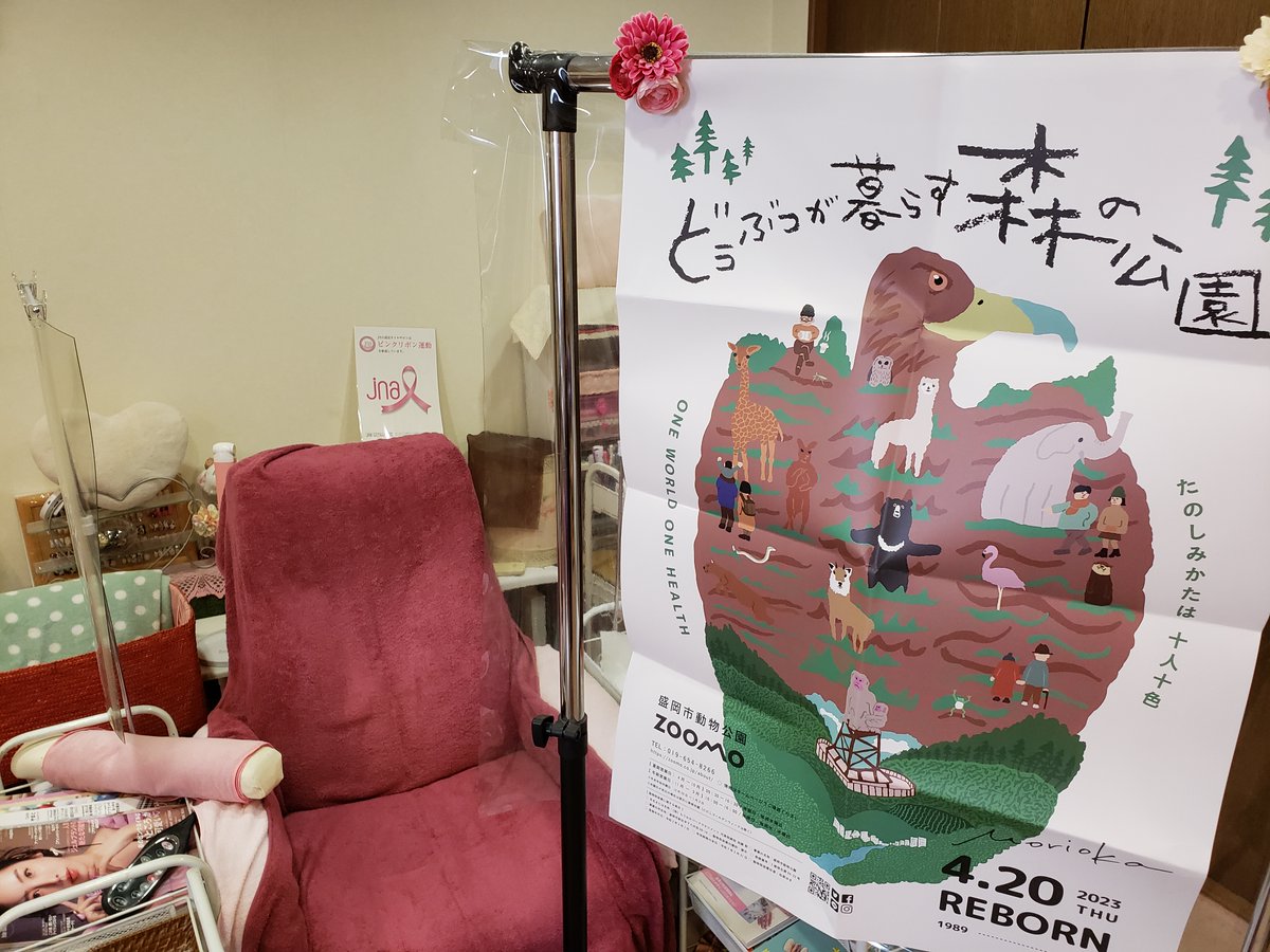 moriokazoo's tweet photo. 「盛岡市動物公園ZOOMOが県内をジャック!!」
ネイルサロン・アトリエシュリル様が店内に掲示してくださいました。
https://t.co/SuZ9qB8ZeY
#Atleier Shurir
#盛岡市動物公園が県内ジャック
https://t.co/ESFZgMeDC7 https://t.co/xYuyL5D1Dg