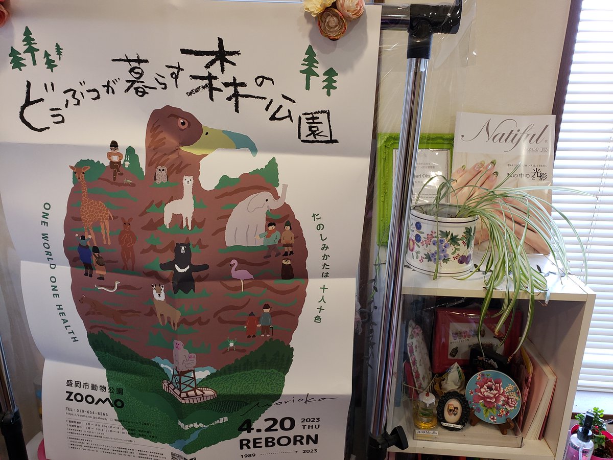 moriokazoo's tweet photo. 「盛岡市動物公園ZOOMOが県内をジャック!!」
ネイルサロン・アトリエシュリル様が店内に掲示してくださいました。
https://t.co/SuZ9qB8ZeY
#Atleier Shurir
#盛岡市動物公園が県内ジャック
https://t.co/ESFZgMeDC7 https://t.co/xYuyL5D1Dg