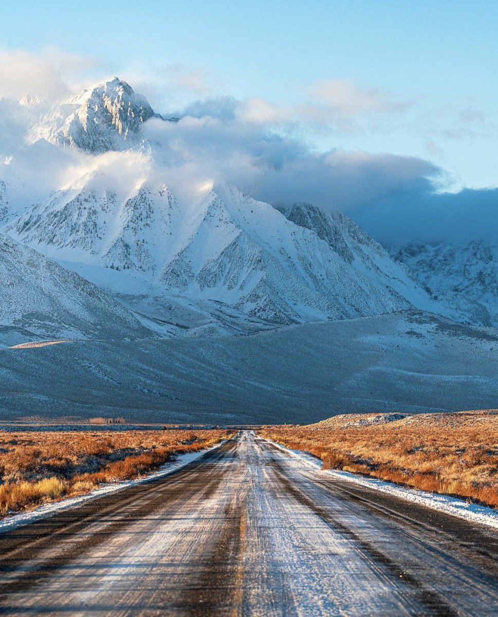 earthcurated tweet picture