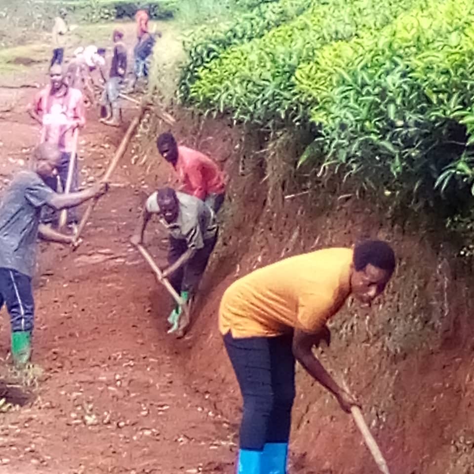 RANGIRO SECTOR tweet media