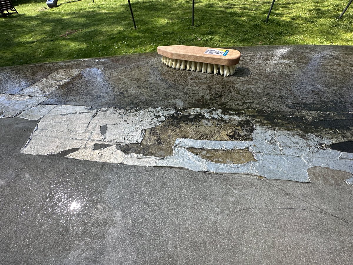 Blauer Hakan tweet media