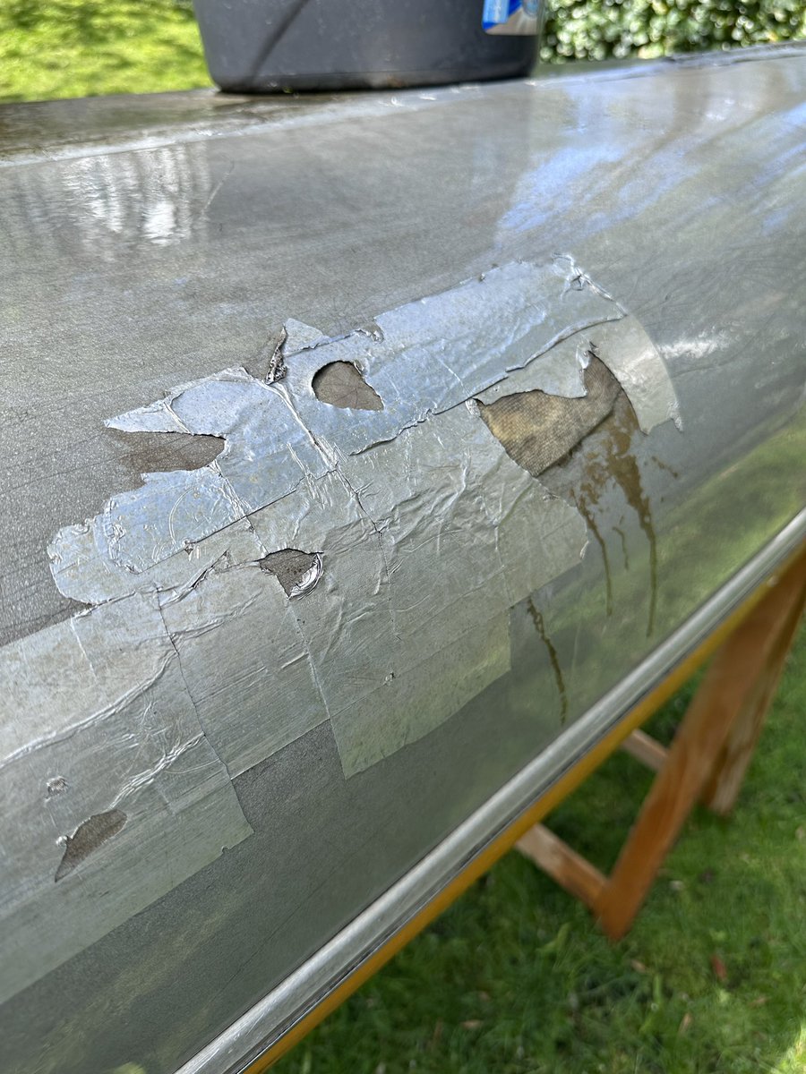 Blauer Hakan tweet media