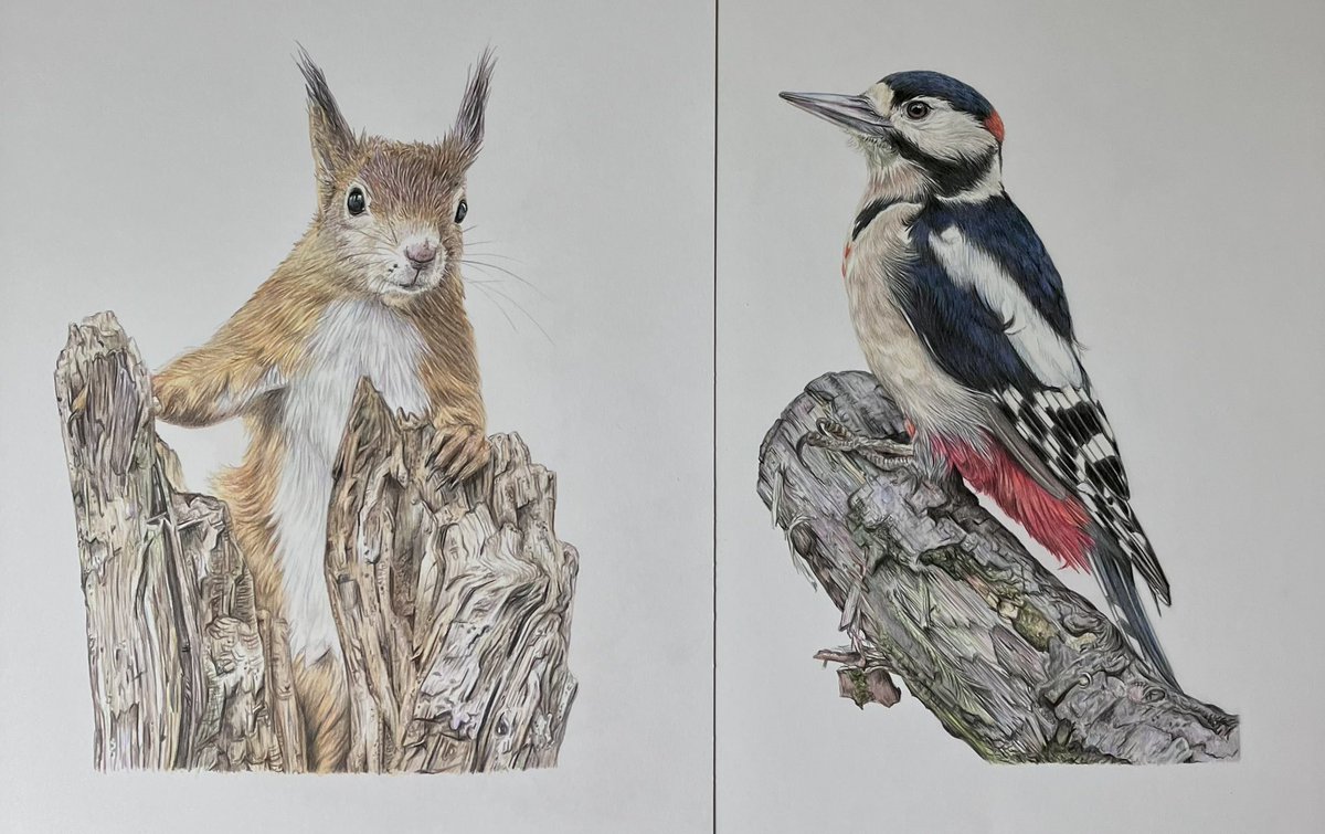 Lisa Wellwood Artist tweet media