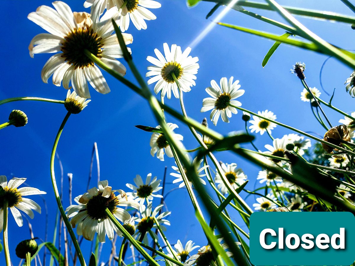 ⛔ We are permanently closed; this we announce with a somewhat heavy heart. Thank You to everyone who has been on this adventure with us. Onwards and upwards #cottageimvana