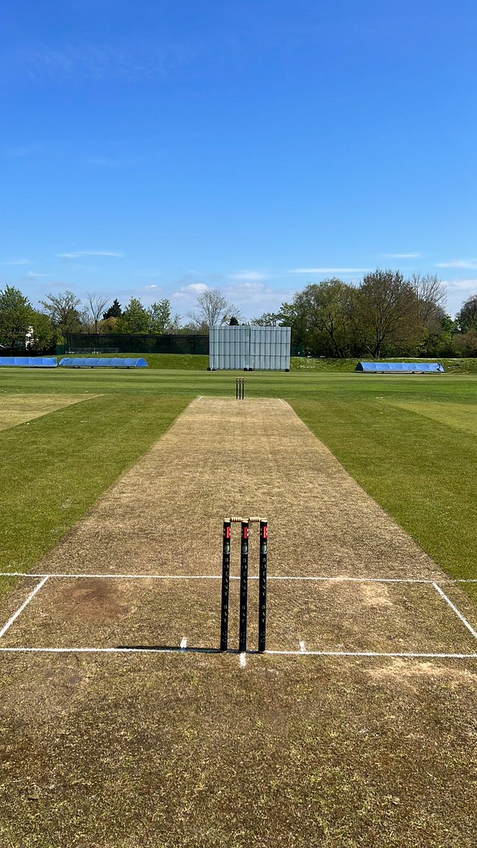BotanyBayCC's tweet image. 🚨 STREAM 🚨link for todays home game against @BentleyHeathCC on what looks to be a scorcher of a day ☀️#upthebot 🔵🟡
youtube.com/watch?v=Eds7Ku…