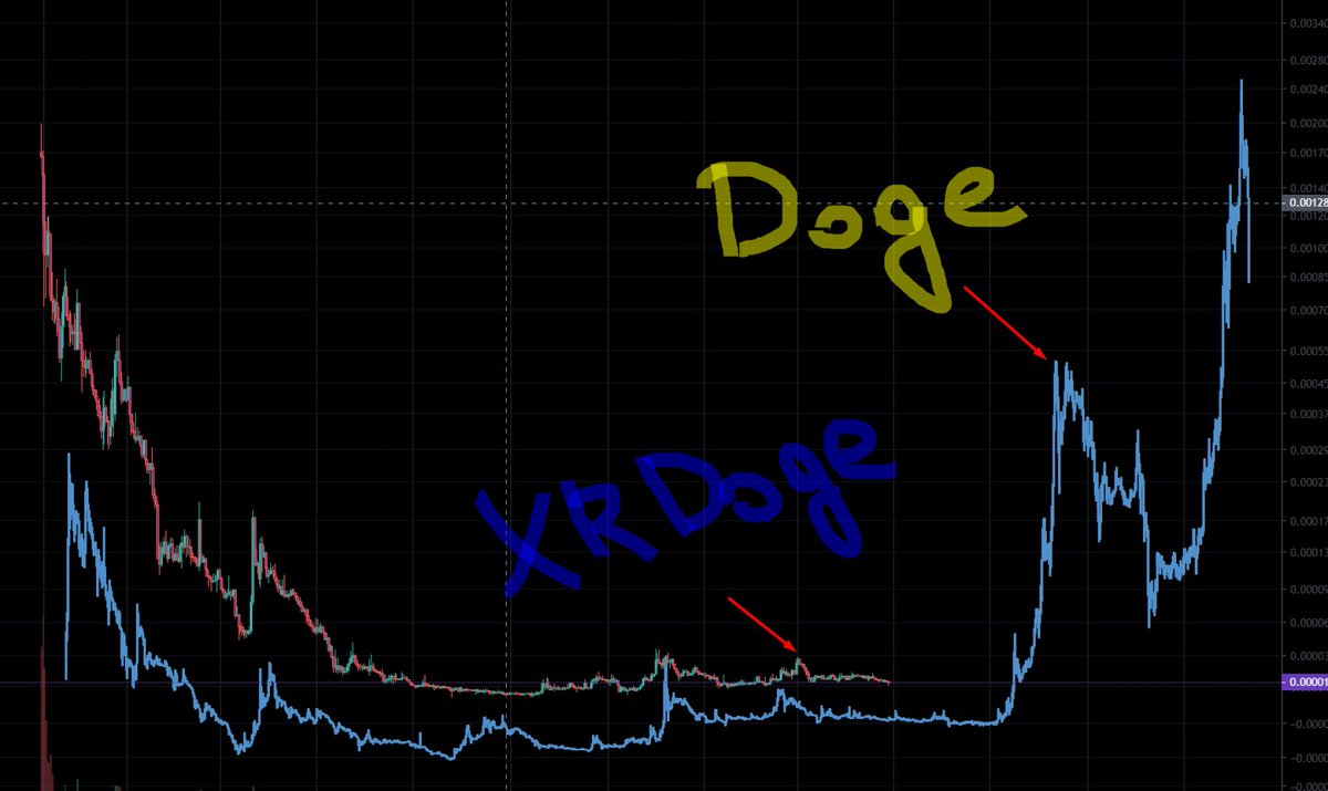 Dogeh8er's tweet image. Does it look any similar?
#XRdoge #xrp
