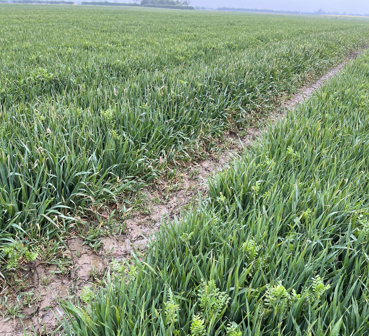 Ben Abell tweet media