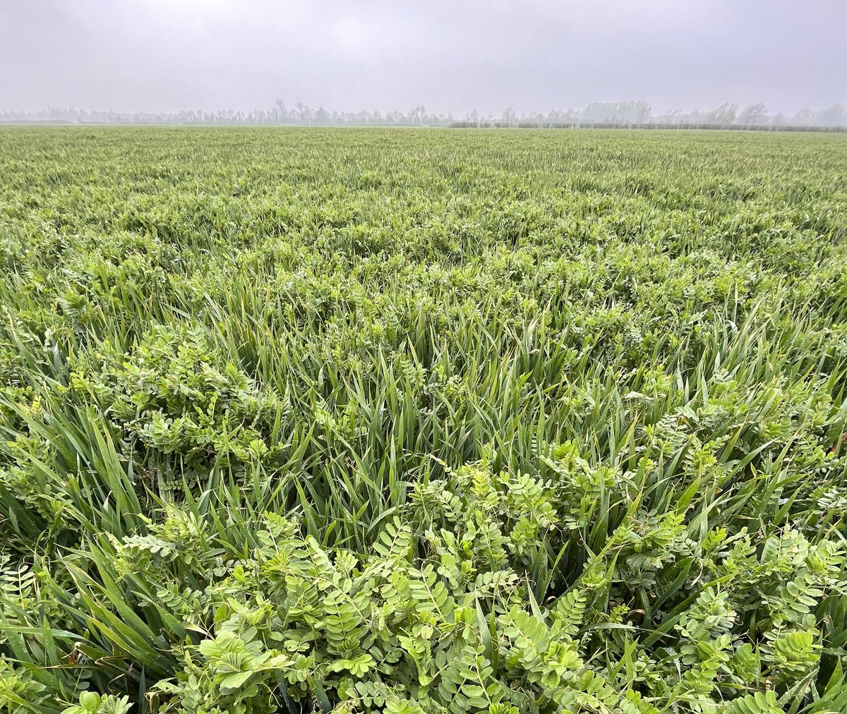 Ben Abell tweet media