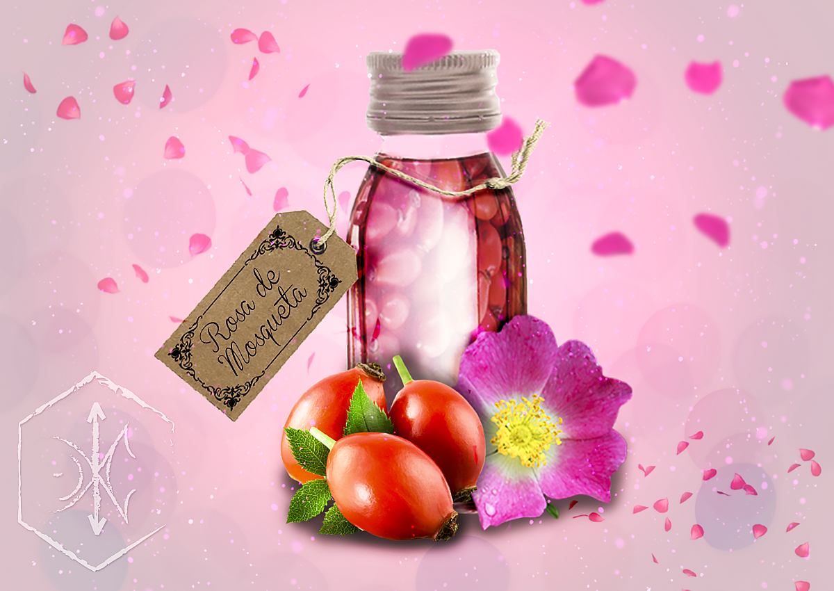 Qué es el aceite de Rosa de Mosqueta? blgs.co/j6dZ9J