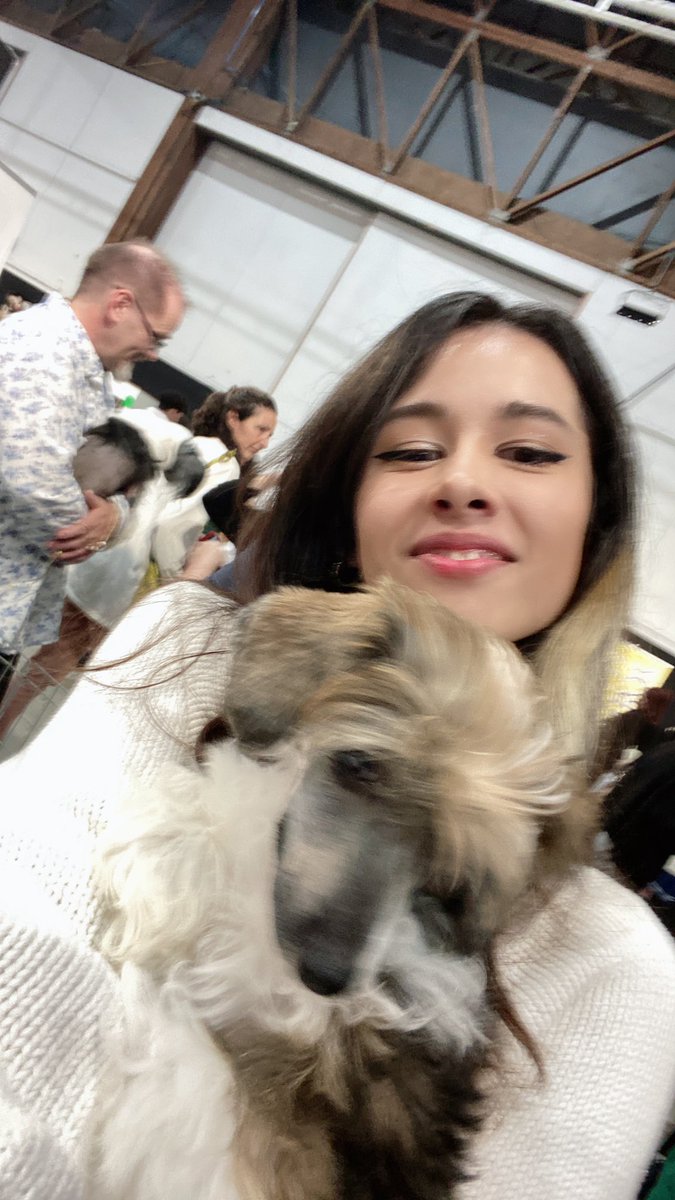Ceekitten's tweet photo. i don’t need another dog i don’t need another dog i don’t need another dog…. https://t.co/AcqBh20Rbn
