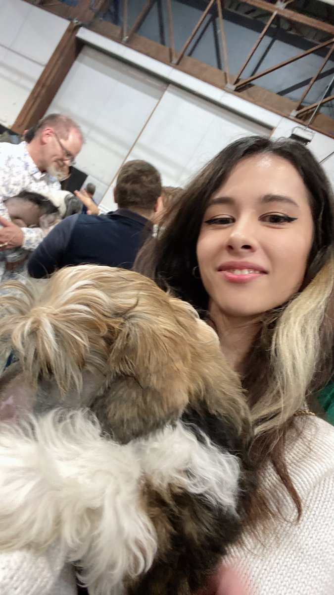 Ceekitten's tweet photo. i don’t need another dog i don’t need another dog i don’t need another dog…. https://t.co/AcqBh20Rbn