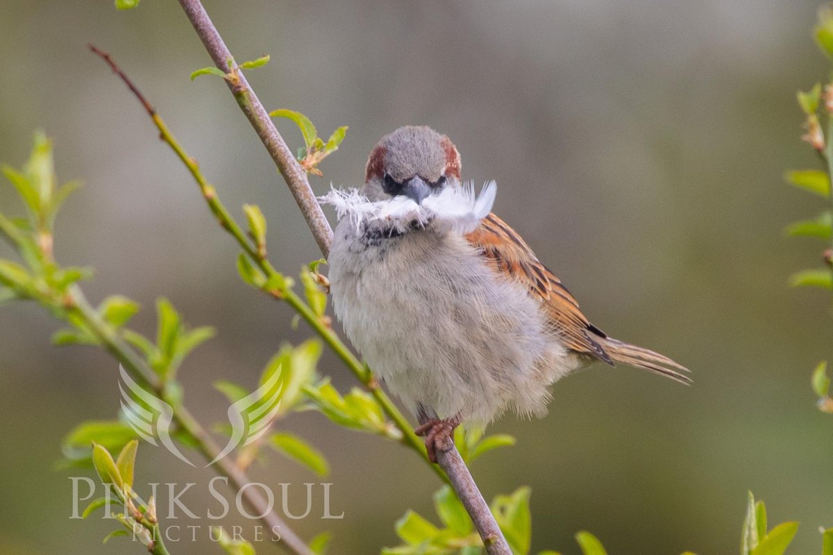 Michelle Becker tweet media