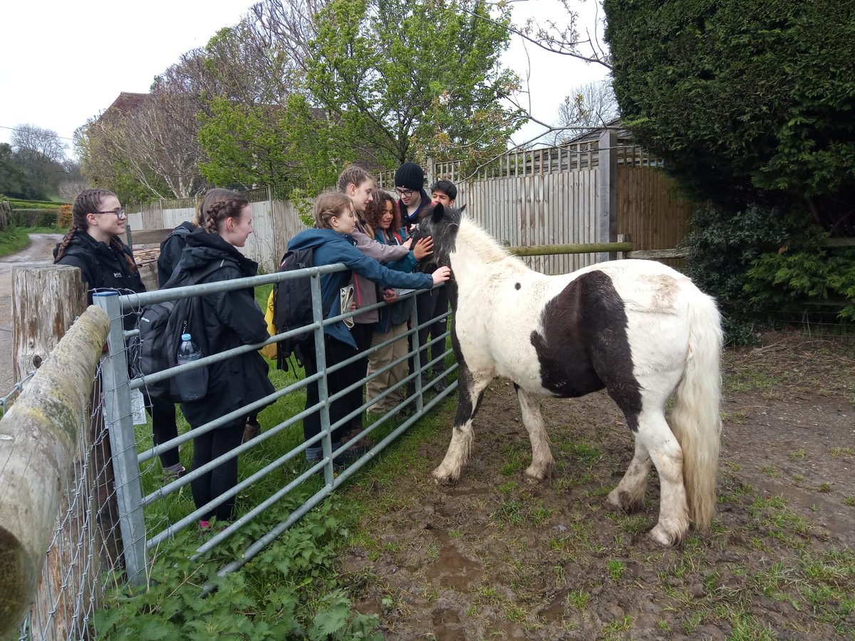 All @beacondofe Bronze groups showed determination and good teamwork yesterday. Back at camp, the students even found energy for a long jump competition and running races before getting snuggled up in their tents. All teams are now out navigating on their own in the sunshine!