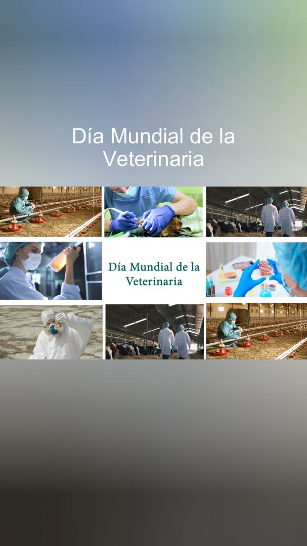 ICOVValencia's tweet photo. Porque cuidan cada día de lo que de verdad importa... ‼ 𝗚𝗥𝗔𝗖𝗜𝗔𝗦 ‼

👫 🐾 🌳 𝗙𝗲𝗹𝗶𝘇 𝗗𝗶́𝗮 𝗠𝘂𝗻𝗱𝗶𝗮𝗹 𝗱𝗲 𝗹𝗮 𝗩𝗲𝘁𝗲𝗿𝗶𝗻𝗮𝗿𝗶𝗮 https://t.co/0jbtG5knF1