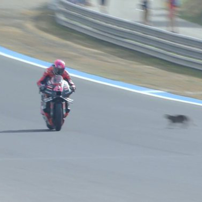 esport3's tweet photo. 🚨🐈‍⬛El felí Aleix Espargaró 🏁