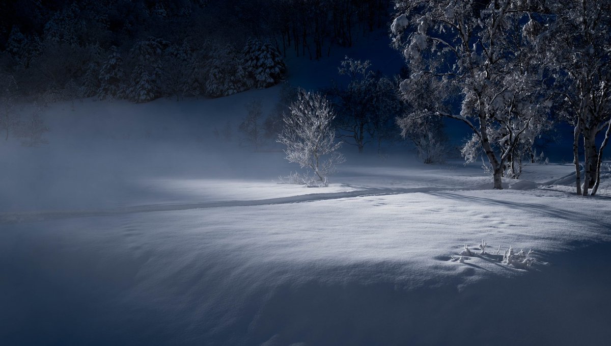 d_nyadcliffe's tweet photo. #みんなの木見せてくれ
秋冬が多いなぁ。

Camera : Nikon Z5
Lens : NIKKOR Z 24-200mm f/4-6.3 VR
Lens : NIKKOR Z 100-400mm f/4.5-5.6 VR S

#私とニコンで見た世界 #tokyocameraclub https://t.co/YFUSXPOwgx
