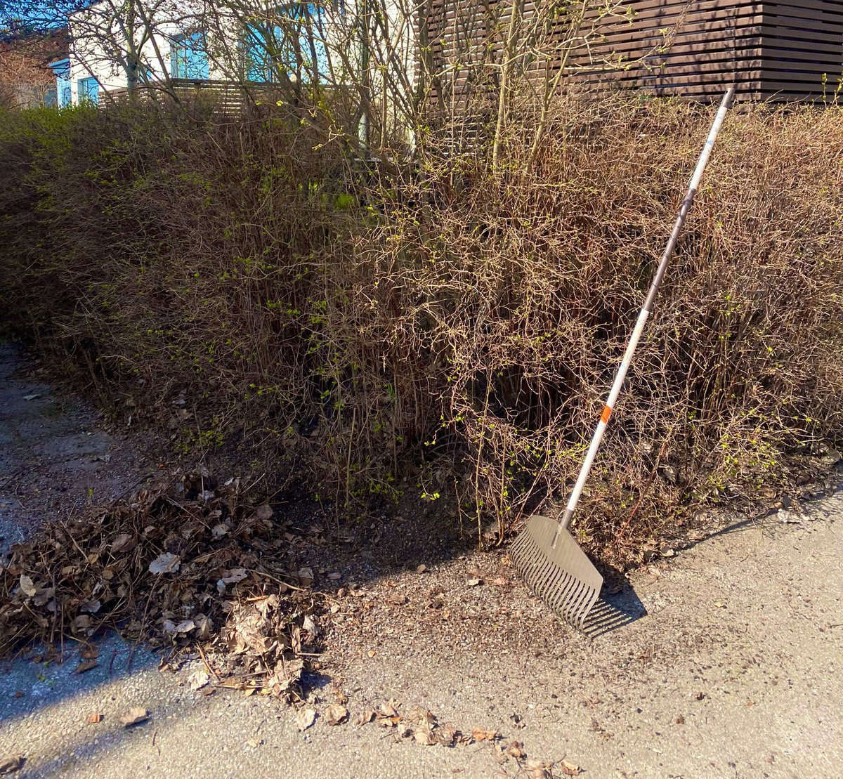 KamillaUbuntu's tweet photo. Vappu talkoot! Talkoot is a Finnish neighborly tradition coming together cleaning, doing communal work and a must-have sausage after!
Tradition here seems slowly disappearing as less people join, sad!
Are you a talkoot person?!
#talkoot #suomi #communityEncounters https://t.co/M9nox0gN9Y